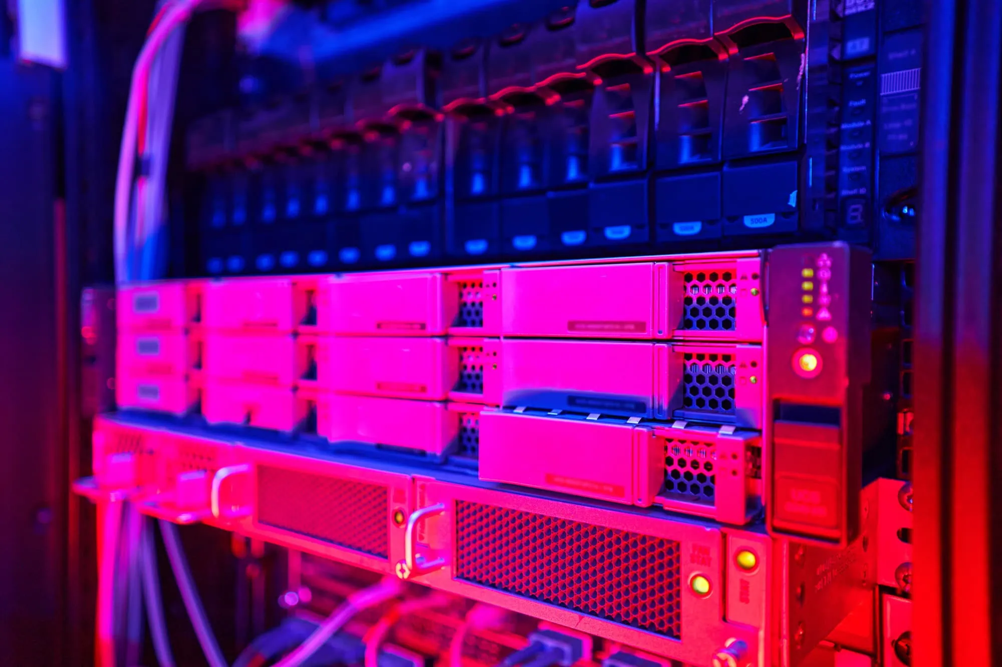 Top Reasons to Trust Professionals with Website Hosting Services A website hosting server with illuminated lights and connected cables. - Market Design Team: Define. Structure. Expand.