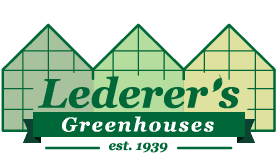 Logo for Lederer's Greenhouses featuring three stylized greenhouses in shades of green and yellow. “Lederer’s Greenhouses” appears in front, with “est. 1929” below on a dark green banner, reflecting their legacy of quality plants. - Market Design Team: Define. Structure. Expand.